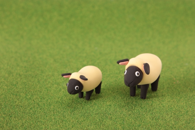 ネットで検索する猫